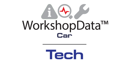 Logo WorkshopData Car Smart